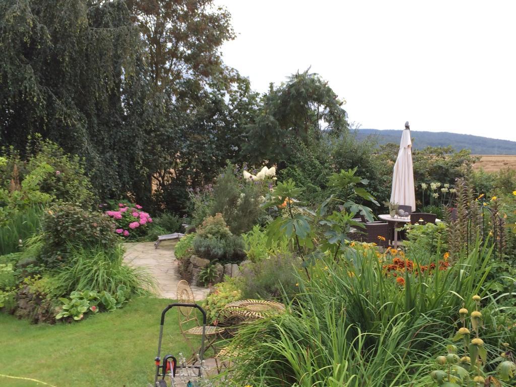 Gaestehaus Villa Kreativ Susanne Lay Bad Münder am Deister Exteriör bild